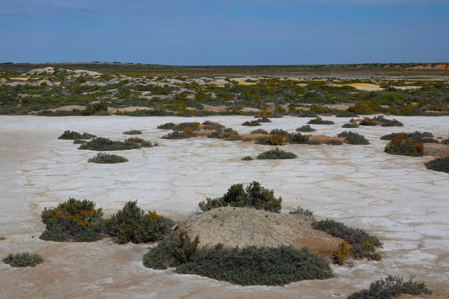 One of the salt lakes at Bael Bael Grassland Nature Conservation Reserve