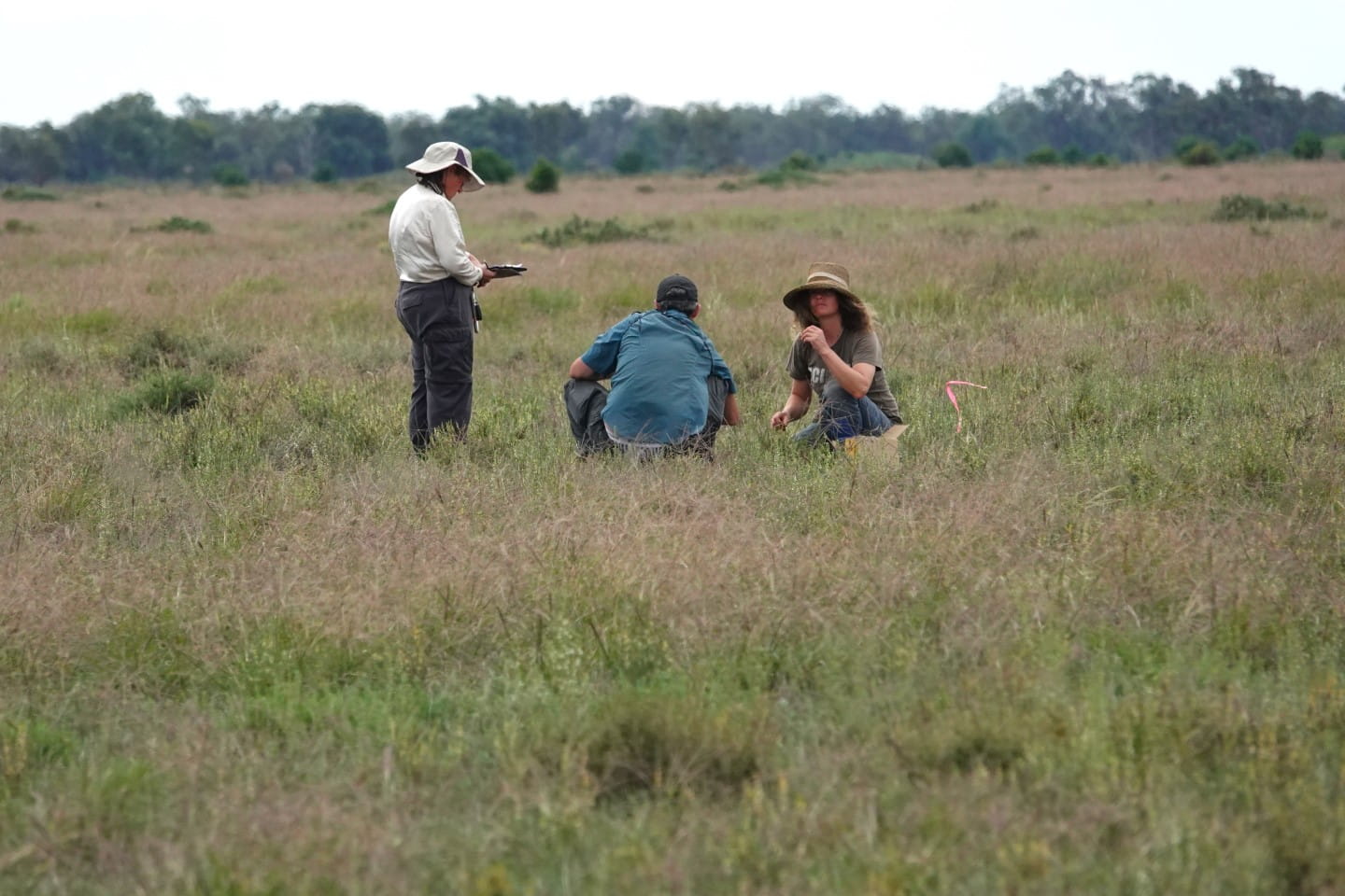 Field Nats volunteer conducting habitat assessments