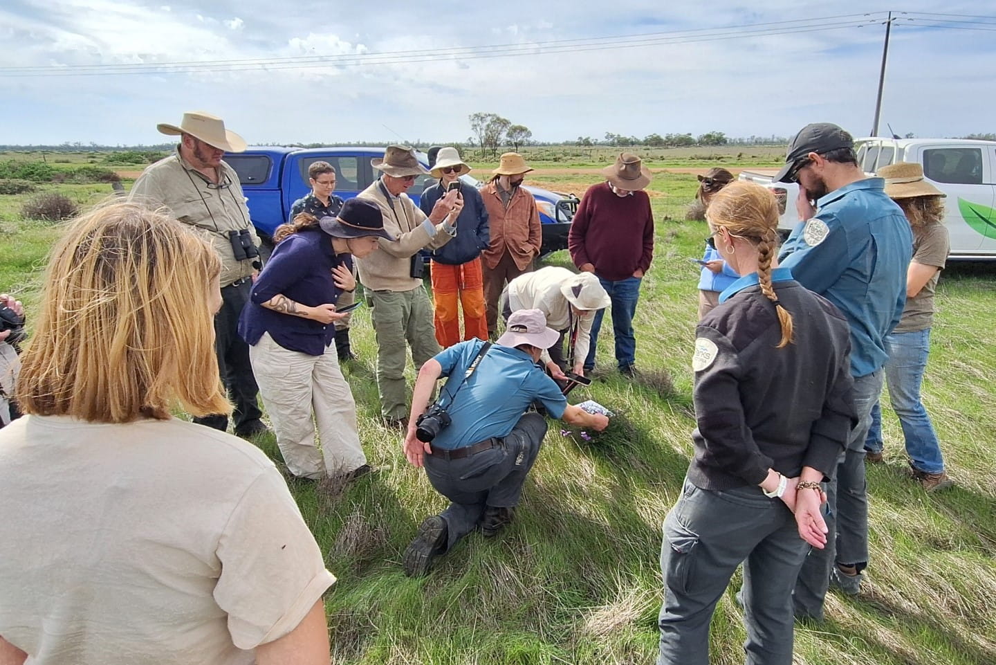 Field Nats volunteers and Parks Victoria inspecting native flora at Bael Bael