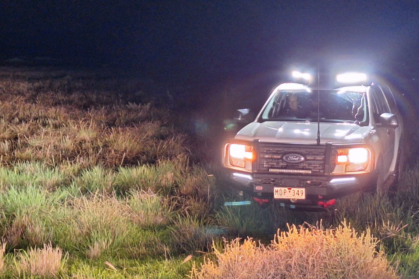 Spotlighting at night is one of the survey methods at Bael Bael