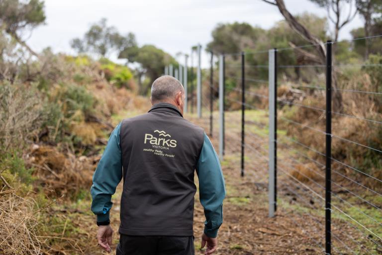 Ranger walking next to fence