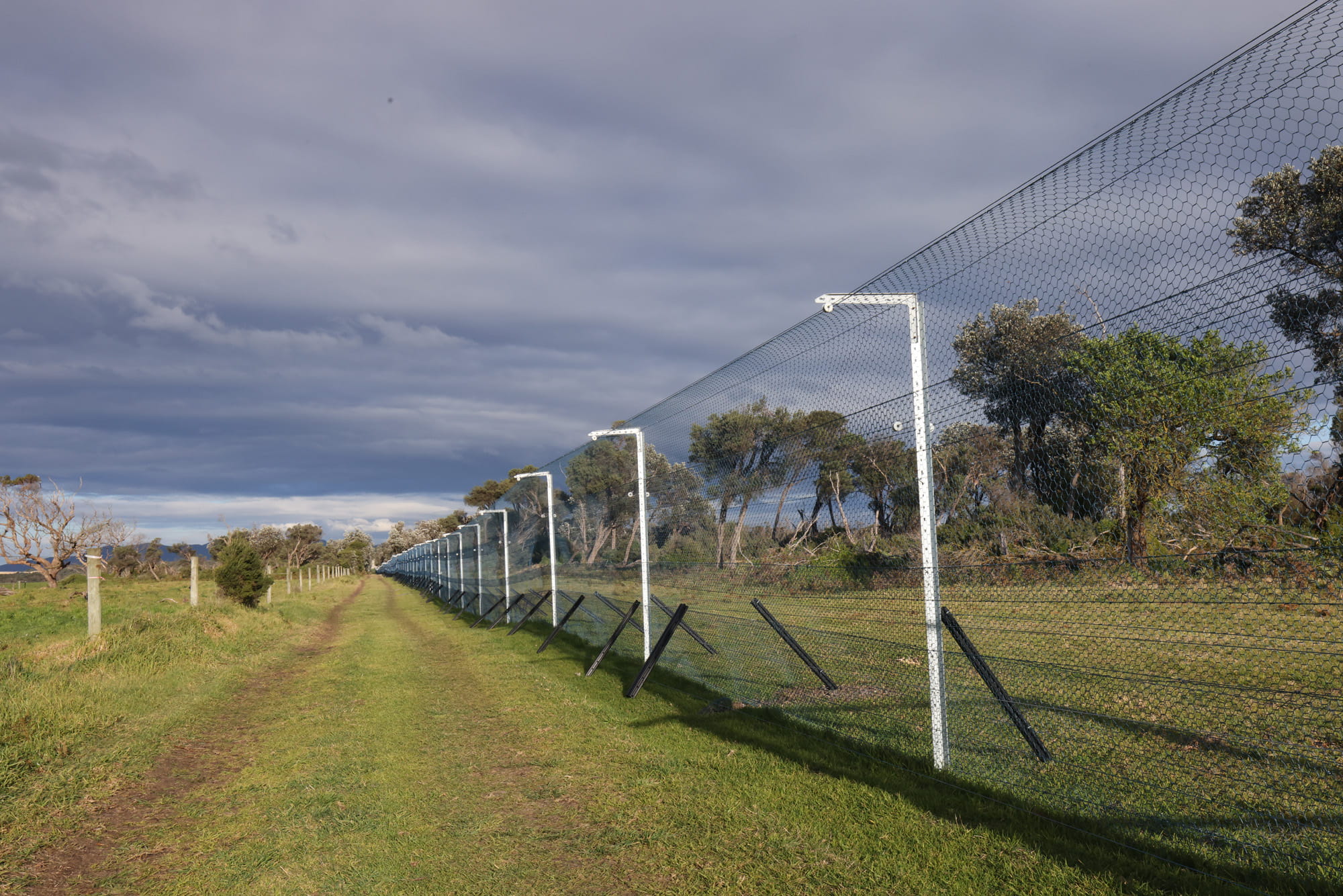 Fenceline