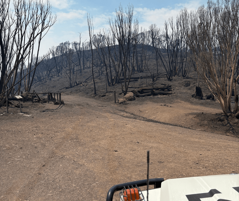 Aftermath of the Dargo Complex Fire