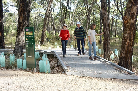 Three bush walkers, two with assisted walking sticks, on a raised platform pathway surrounded by trees and young shrubs encased in protective plastic.
