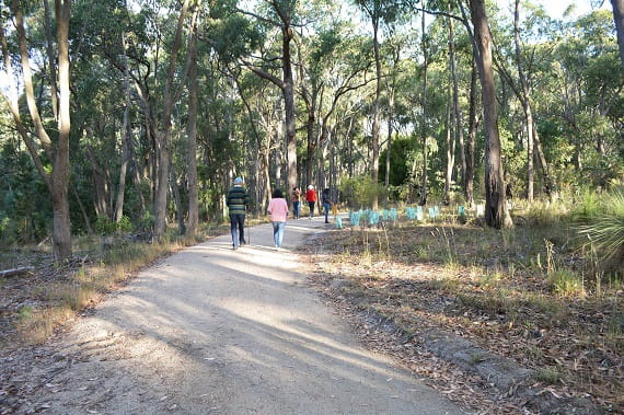 A wide bush walking path surrounded by trees on one side and grassy shrubs on the others side. In the foreground and distance there are walkers walking away from us.