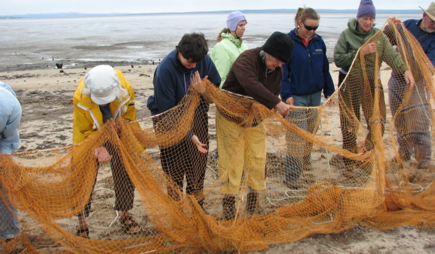 Volunteers furling the net