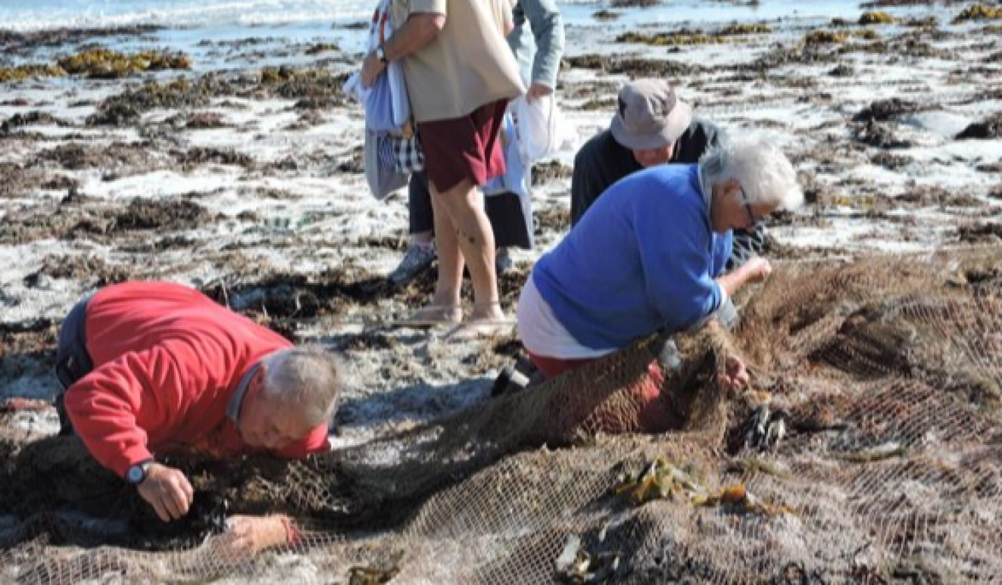 Volunteers carefully extract birds caught in the net