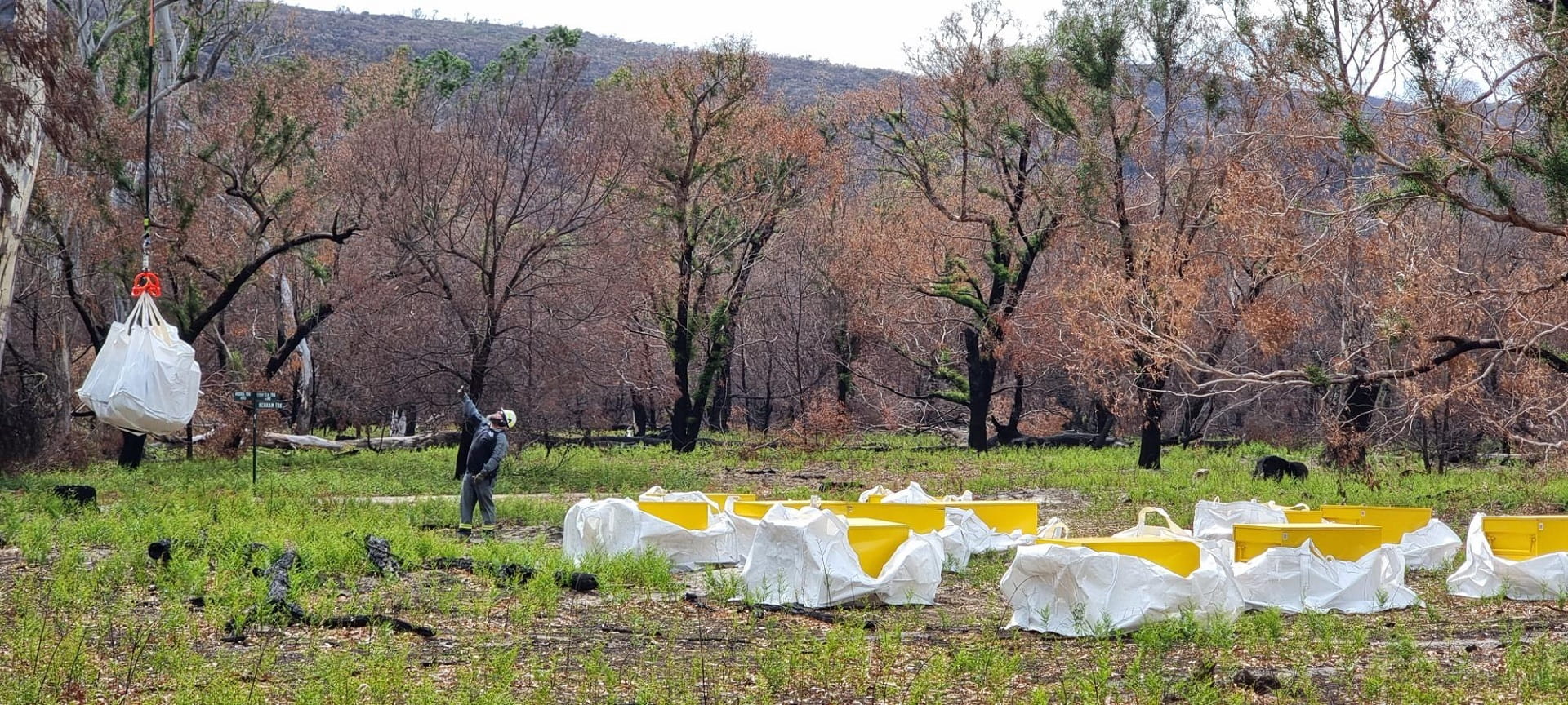 Sing loading of bulk supplies for 17 monitored ground feeding stations over 5 km of the escarpment in the Grampians (Gariwerd) National Park
