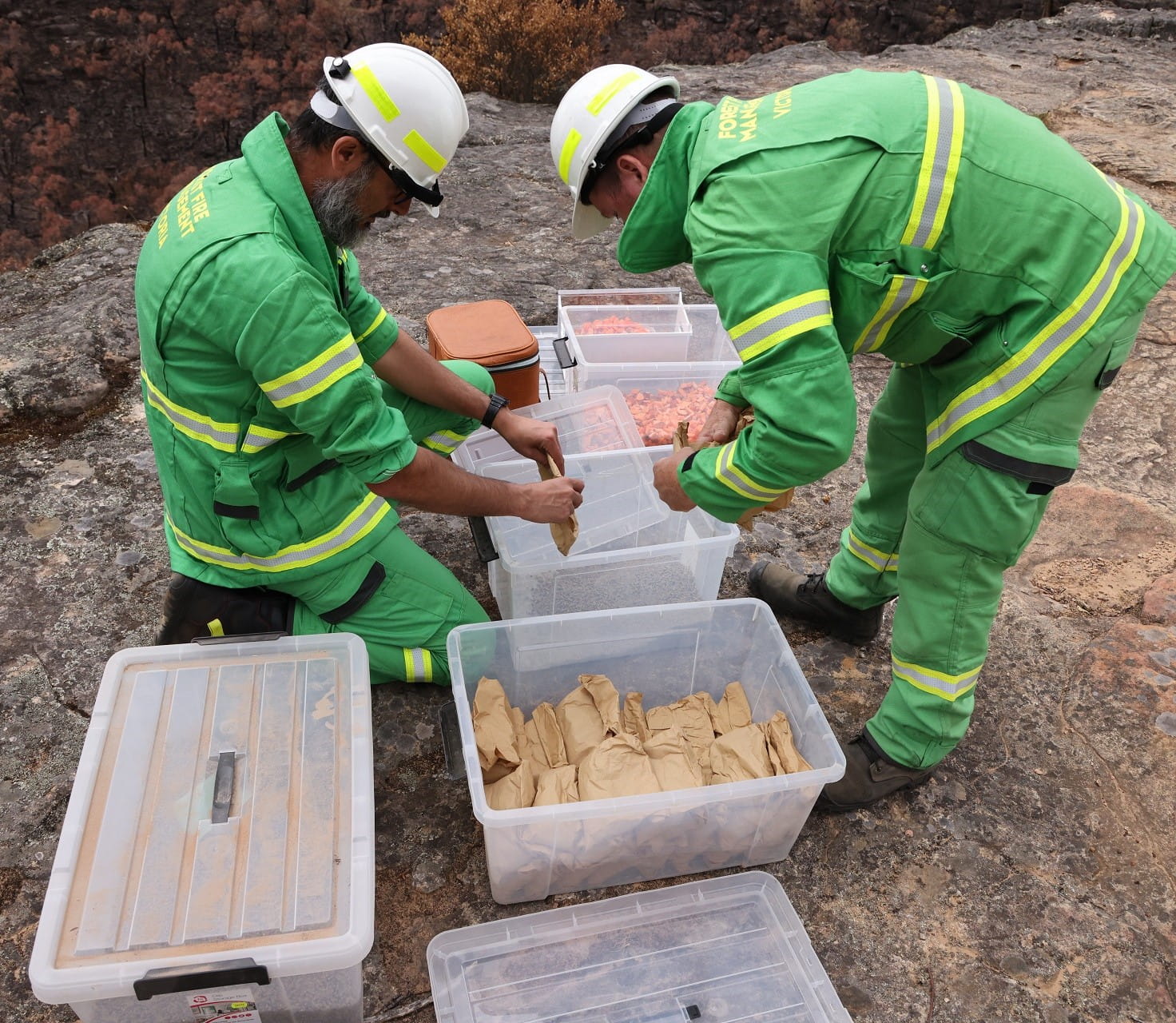 Food packages prepped for drone drop in Grampians National Park after intense summer fires January 2025
