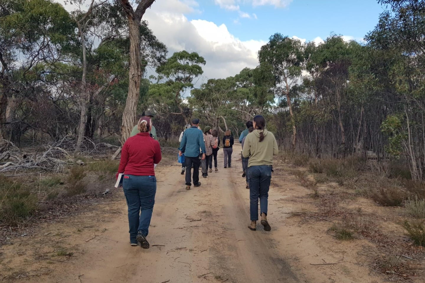 Volunteers in the bush