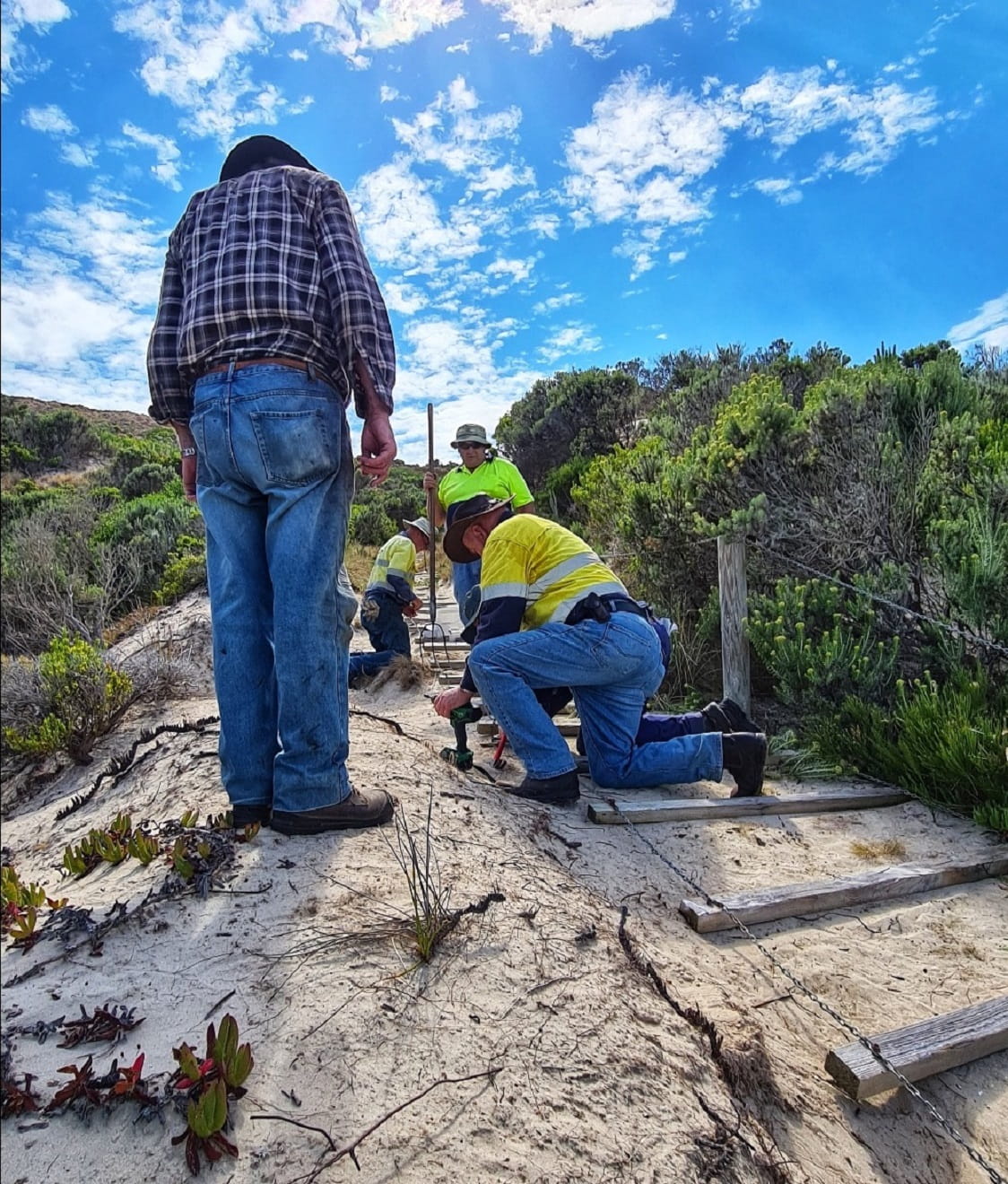 The Friends of the Great South West Walk repairing stairs near Kobo Creek