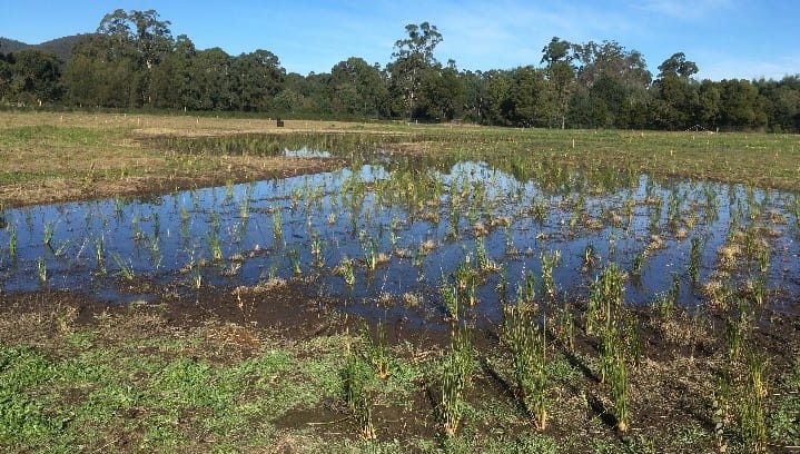Haining Farm