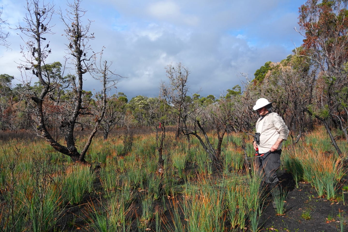 Camera set up at Howe Flat