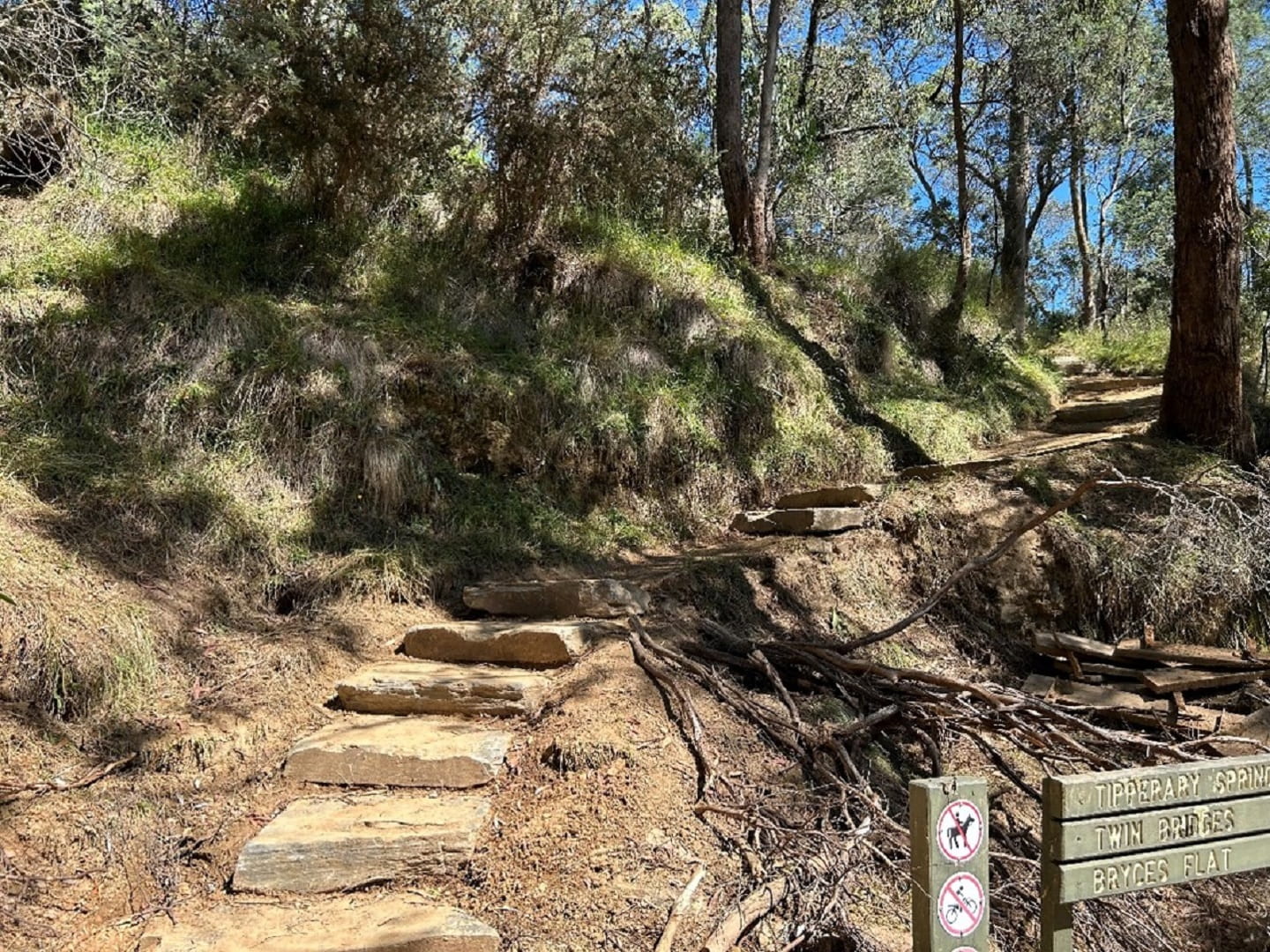 Stone steps built by the Dja Dja Wurrung enterprise DJANDAK across Hepburn Regional Park has improved the trail network