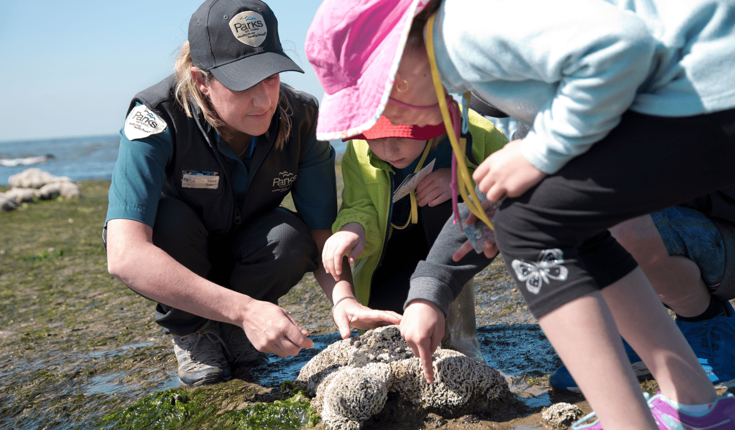 A Ranger kneels beside two children on a rocky shoreline, guiding them as they examine marine life in a rockpool near the water’s edge.