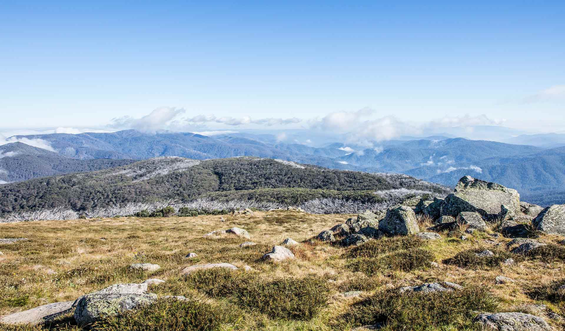 The High Plains in the Alpine National Park
