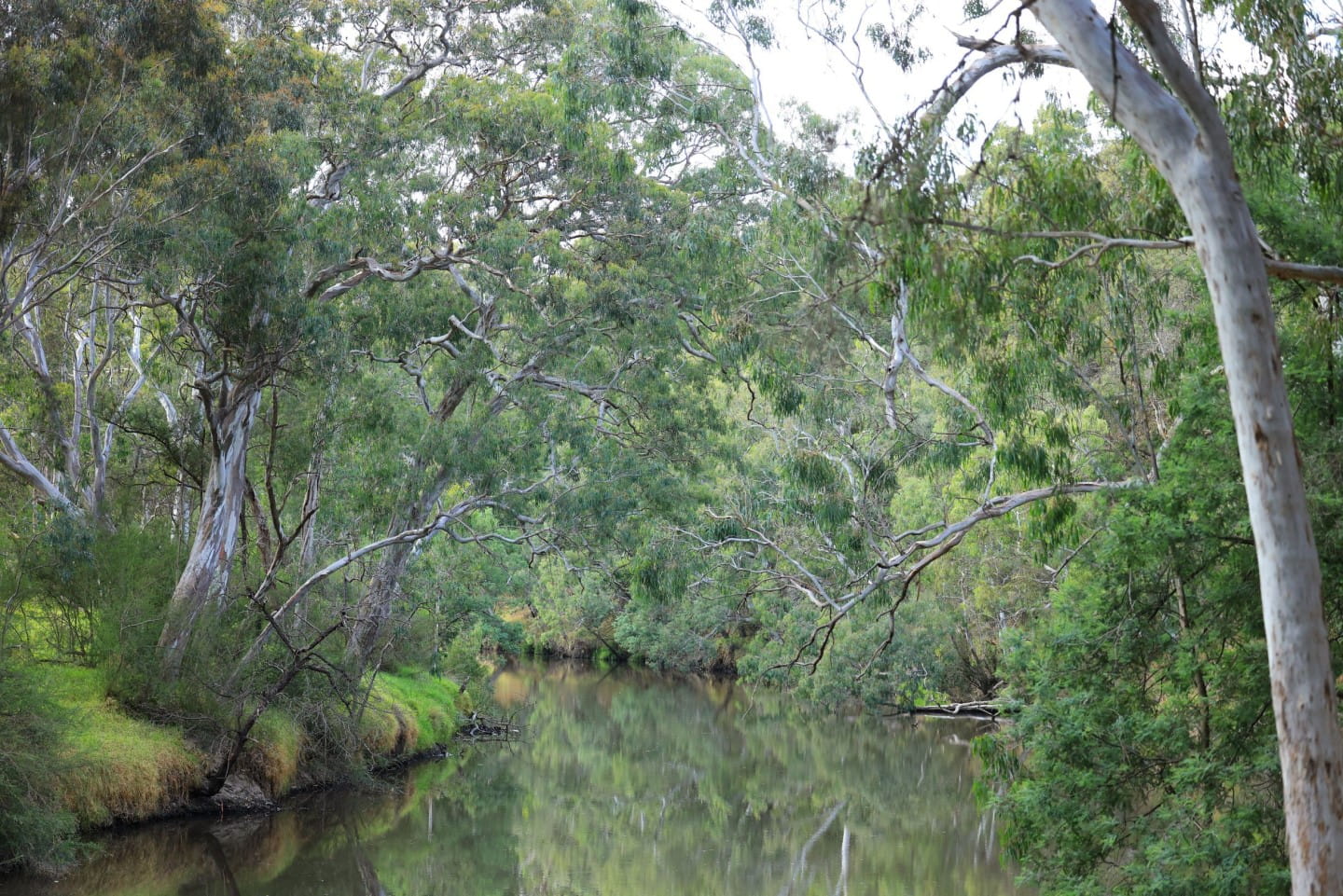 Yarra Bend Park