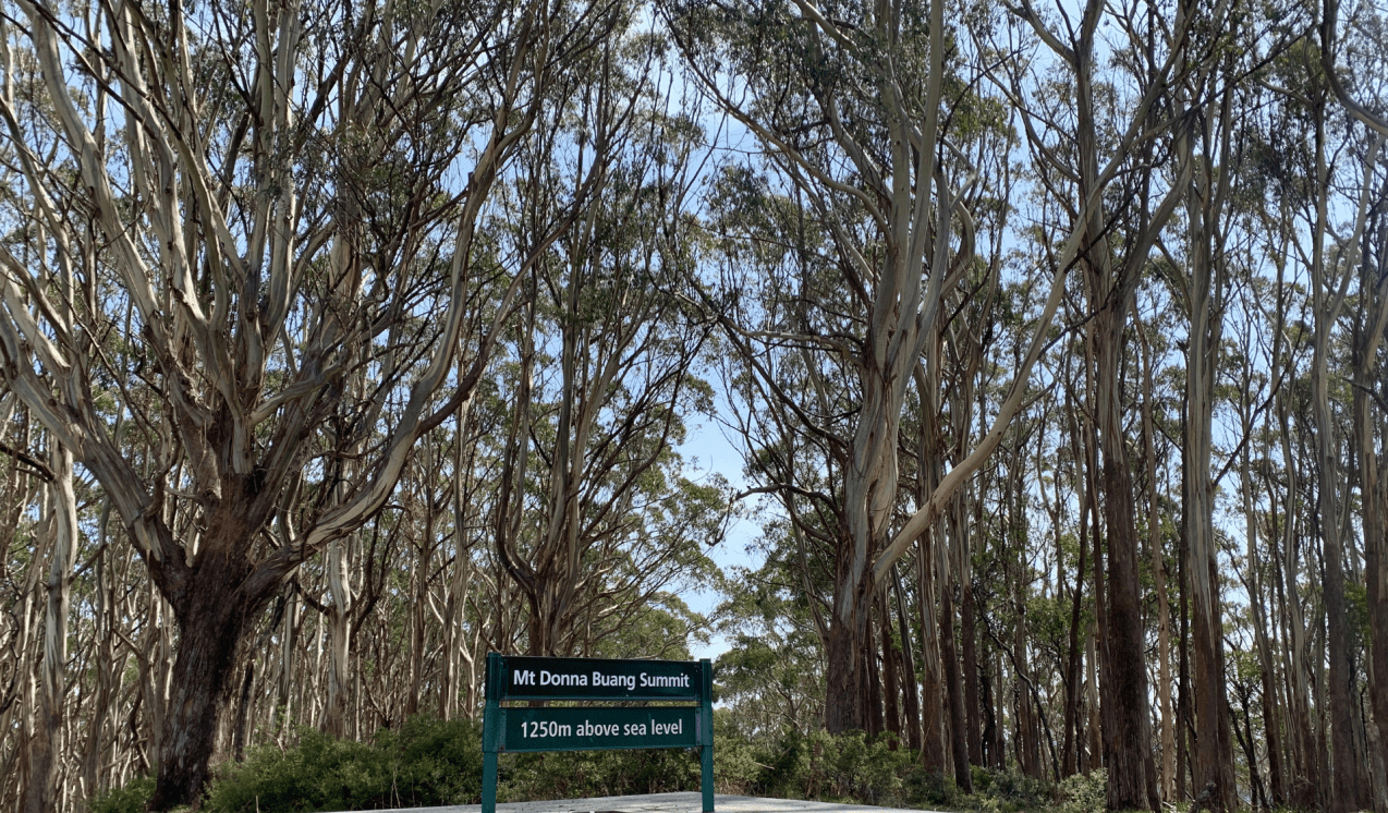 Mount Donna Buang summit signage