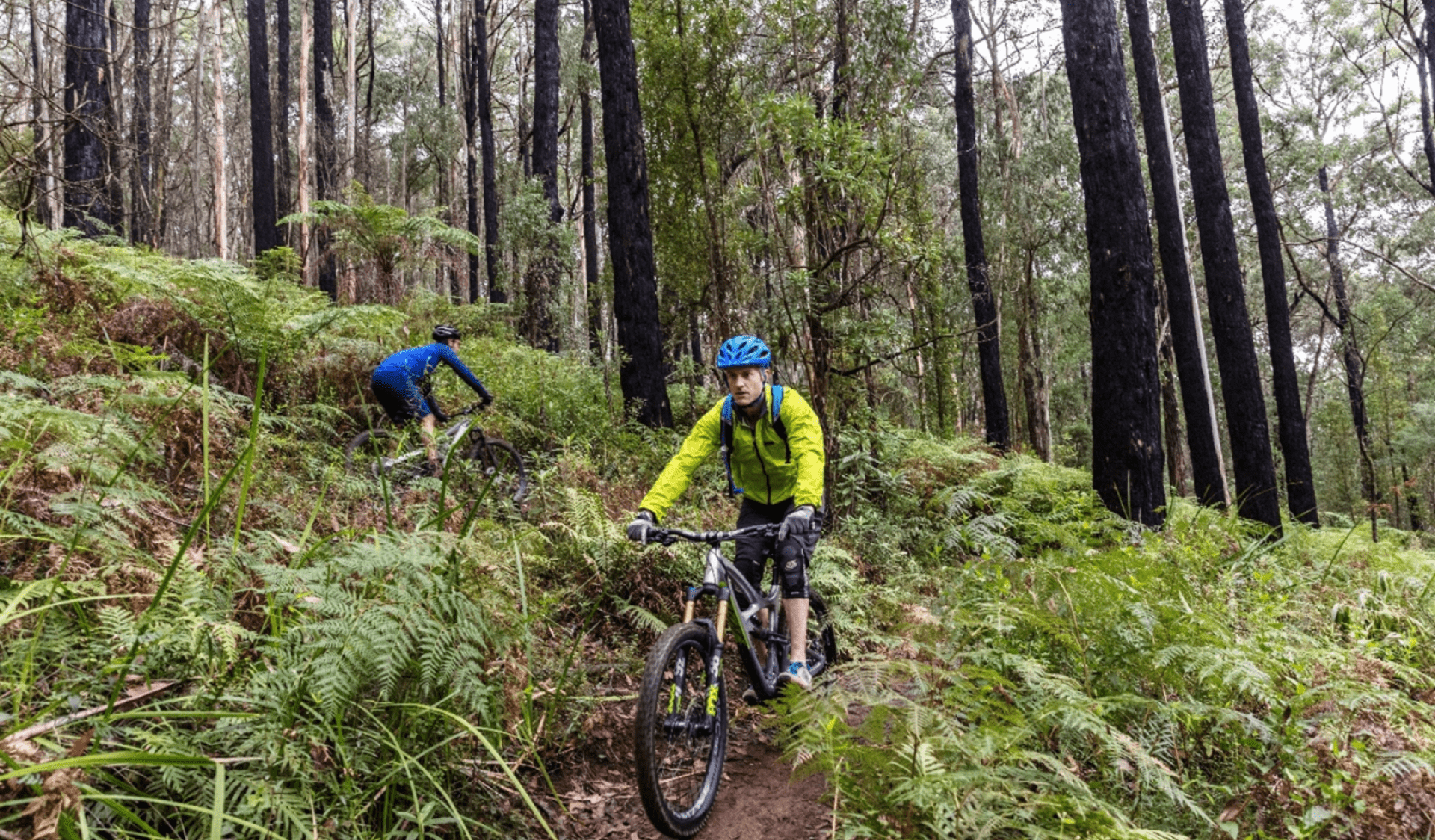 two people riding a bike in the forest