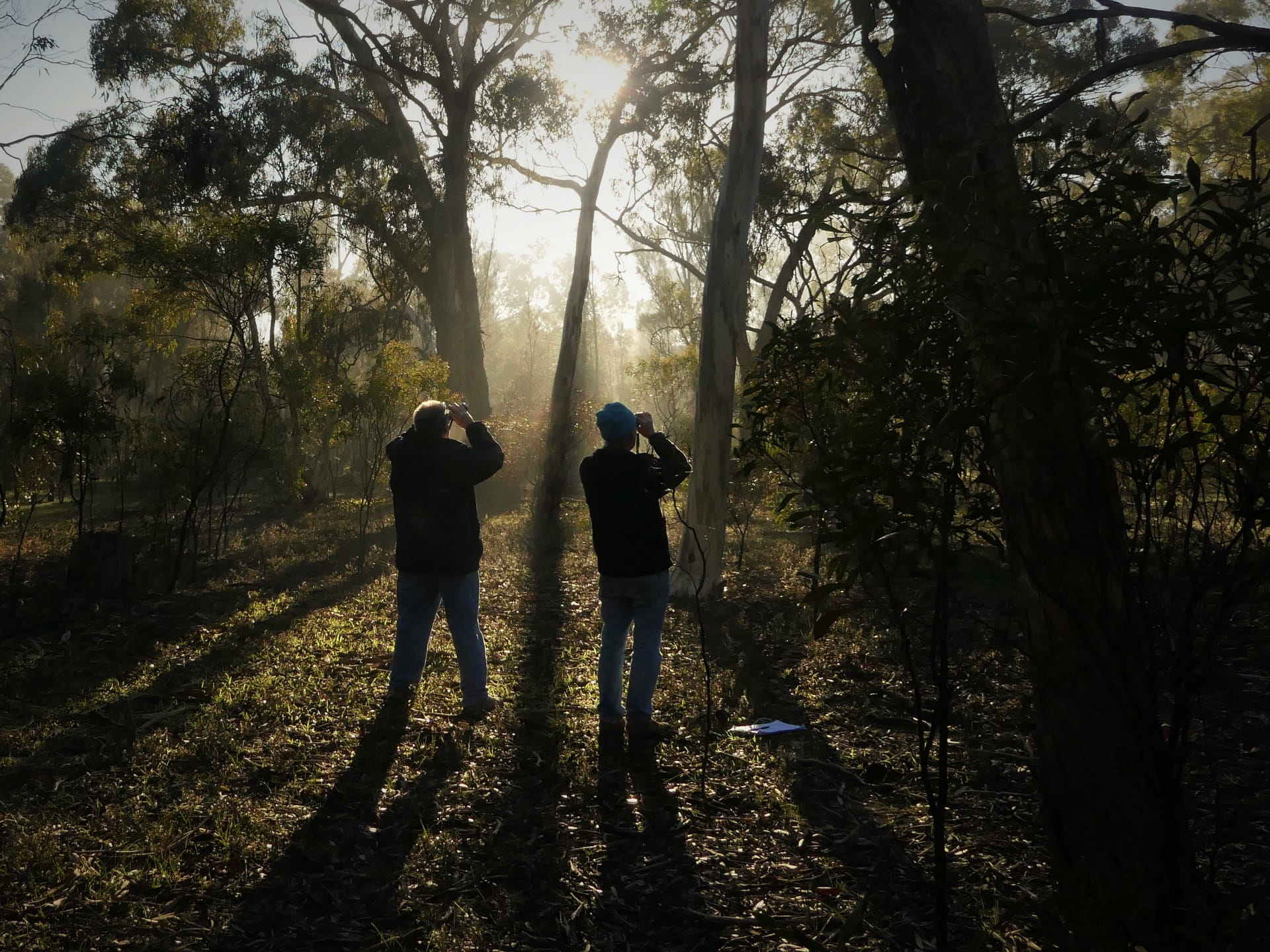 Citizen scientists survey Deep Lead Nature Conservation Reserve