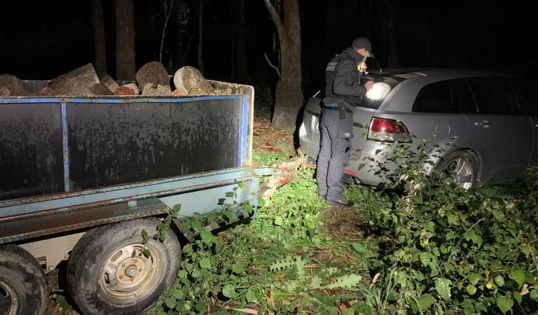 Authorised Officers seize illegally cut river red gum as part of Operation Goulburn