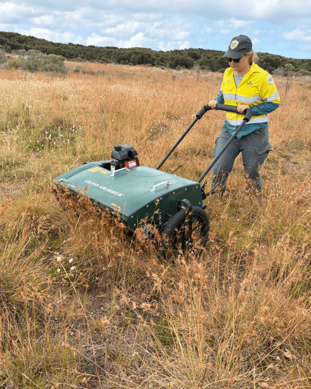 A ranger pushing a seed collecting machine through long, dry grass