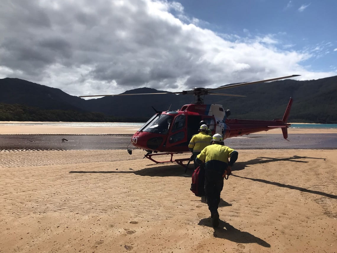 The seed collection team has travelled by air to reach some of the precious seed from species such as Tasmanian  Blue Gum