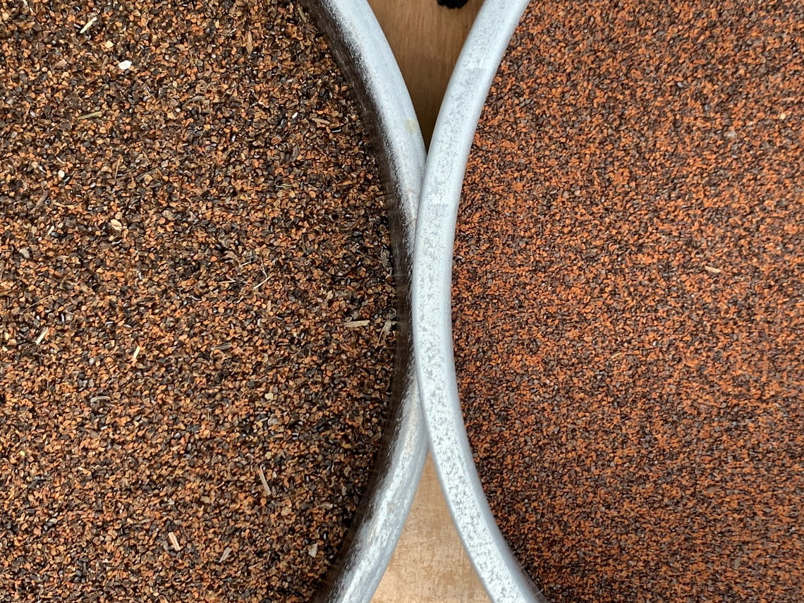 Eucalypt seeds are tiny, sometimes as small as one millimetre