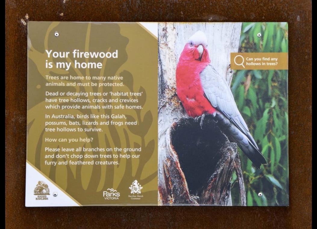 Signage which explains the purpose of habitat trees featuring a photo of a Galah