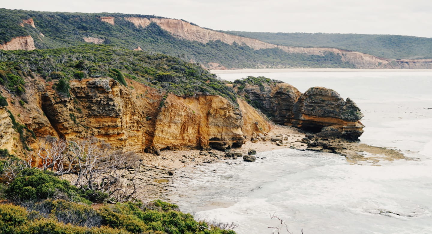 A wide shot of Point Addis from a lookout. A gentle wave is coming in to the beach towards a tall cliff face. The cliffs have green vegetation.