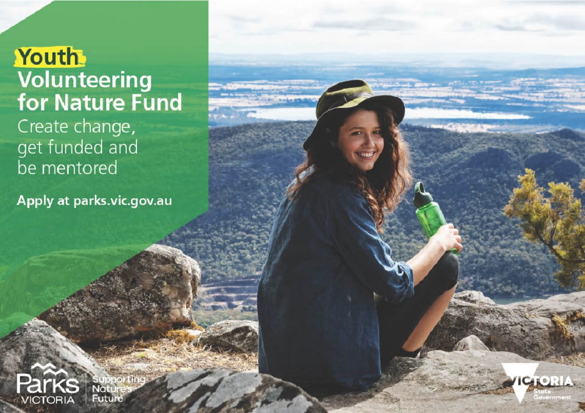 Young person in nature with mountain range in background