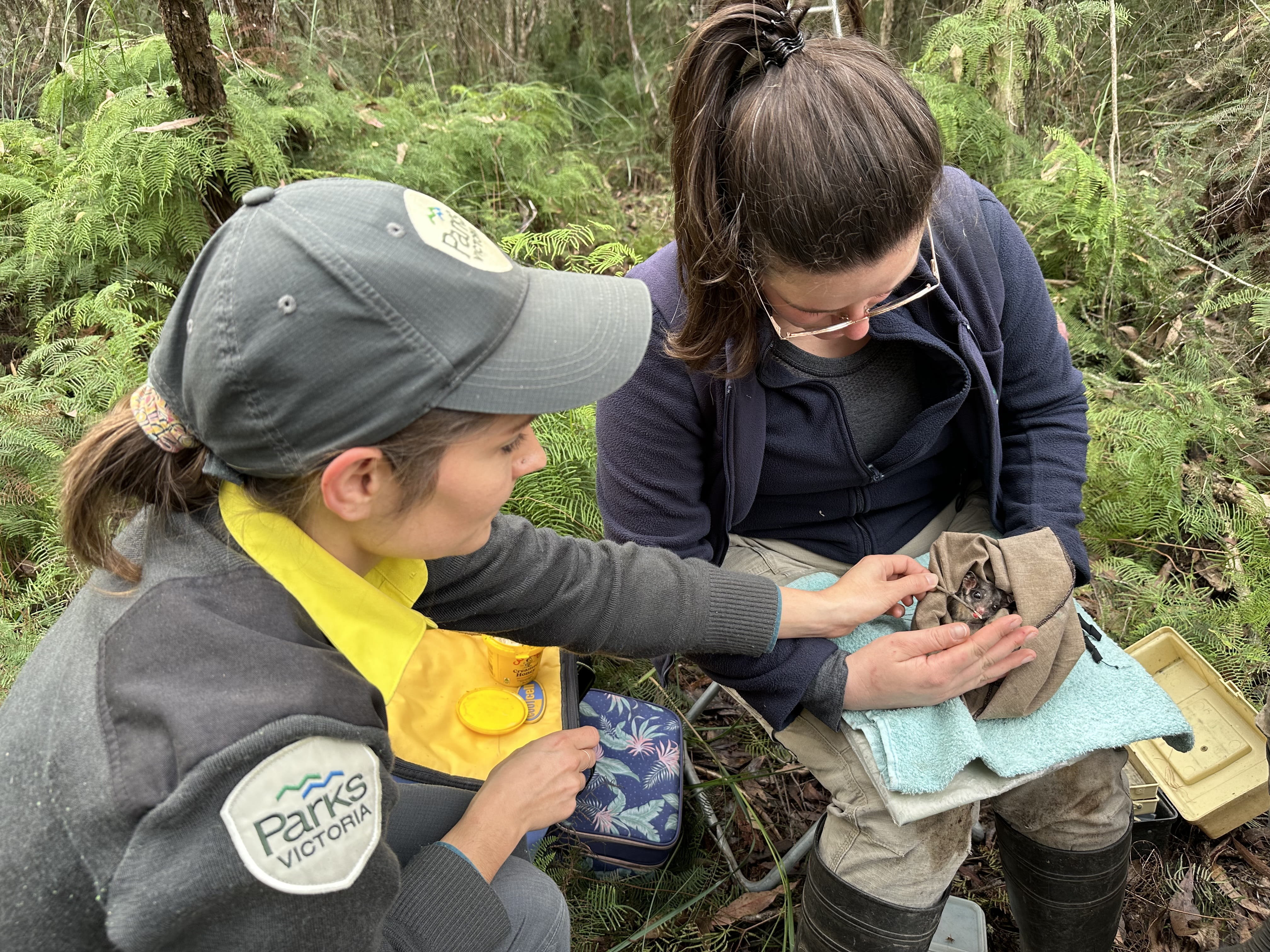 Mel (left) with a colleague caring for a possum