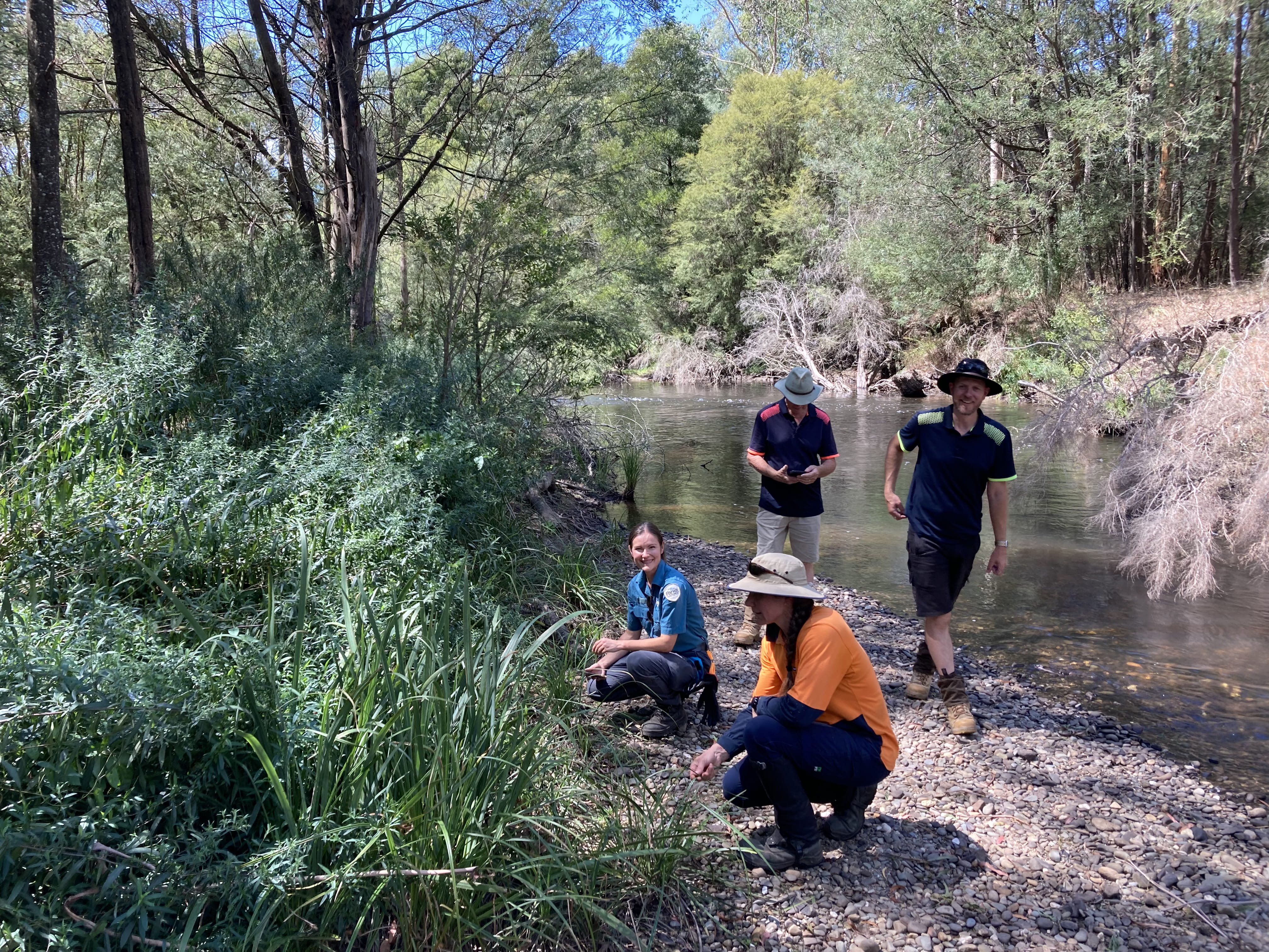 Parks Victoria employees at a river in Yarra Ranges