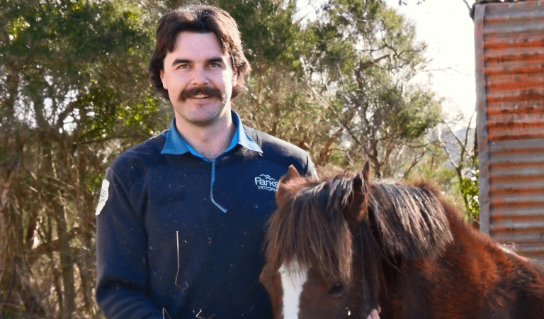 Image of a Parks Victoria ranger with a horse