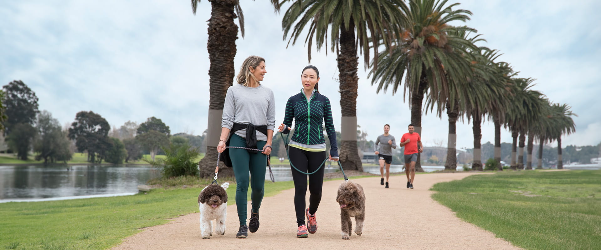 Two women walking their dogs on leads along a dirt track bordered by towering palm trees.