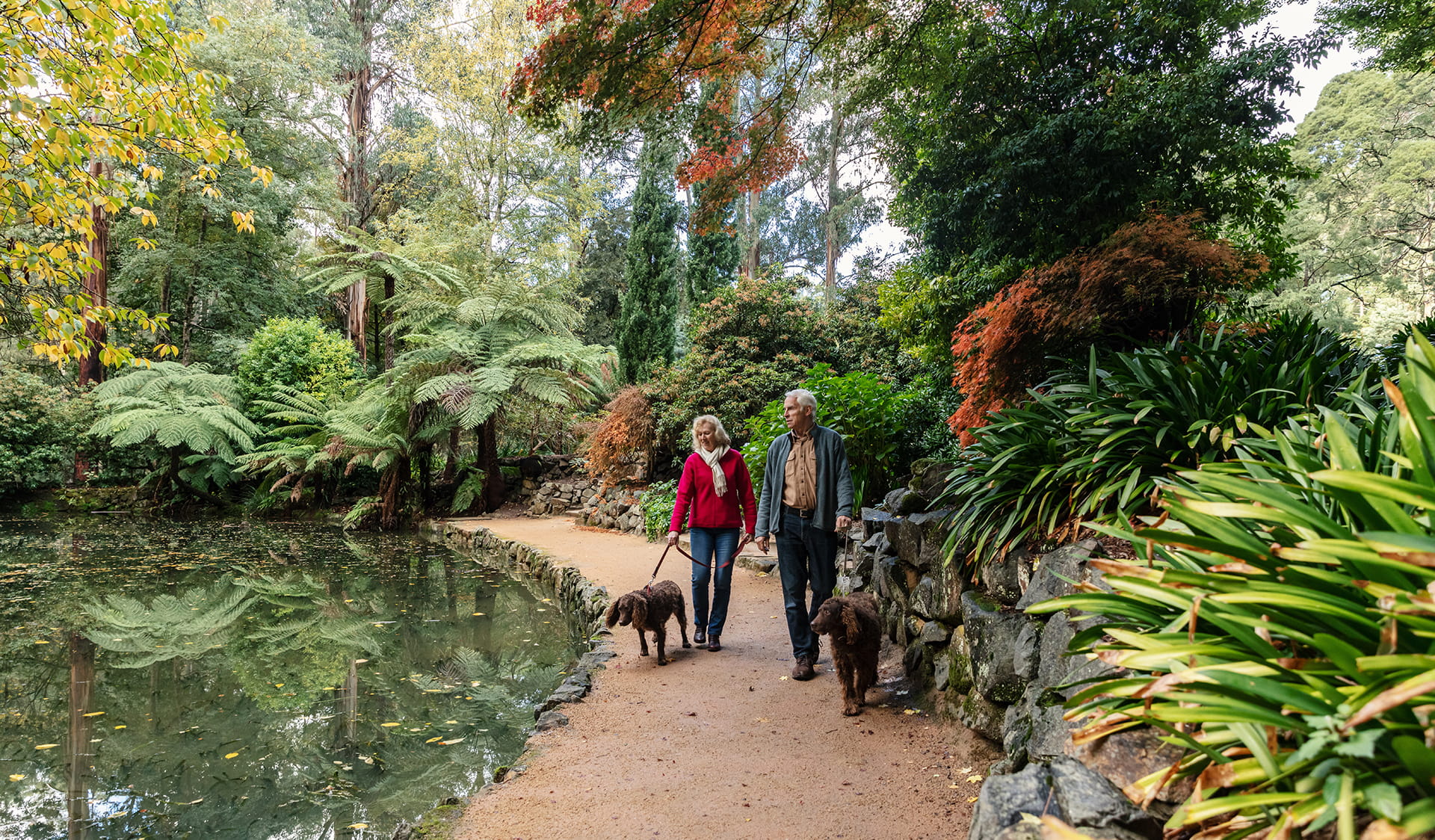 Couple walking with dogs on lead along a garden path near a lake