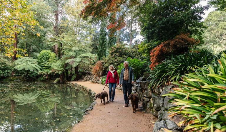 Couple walking with dogs on lead along a garden path near a lake