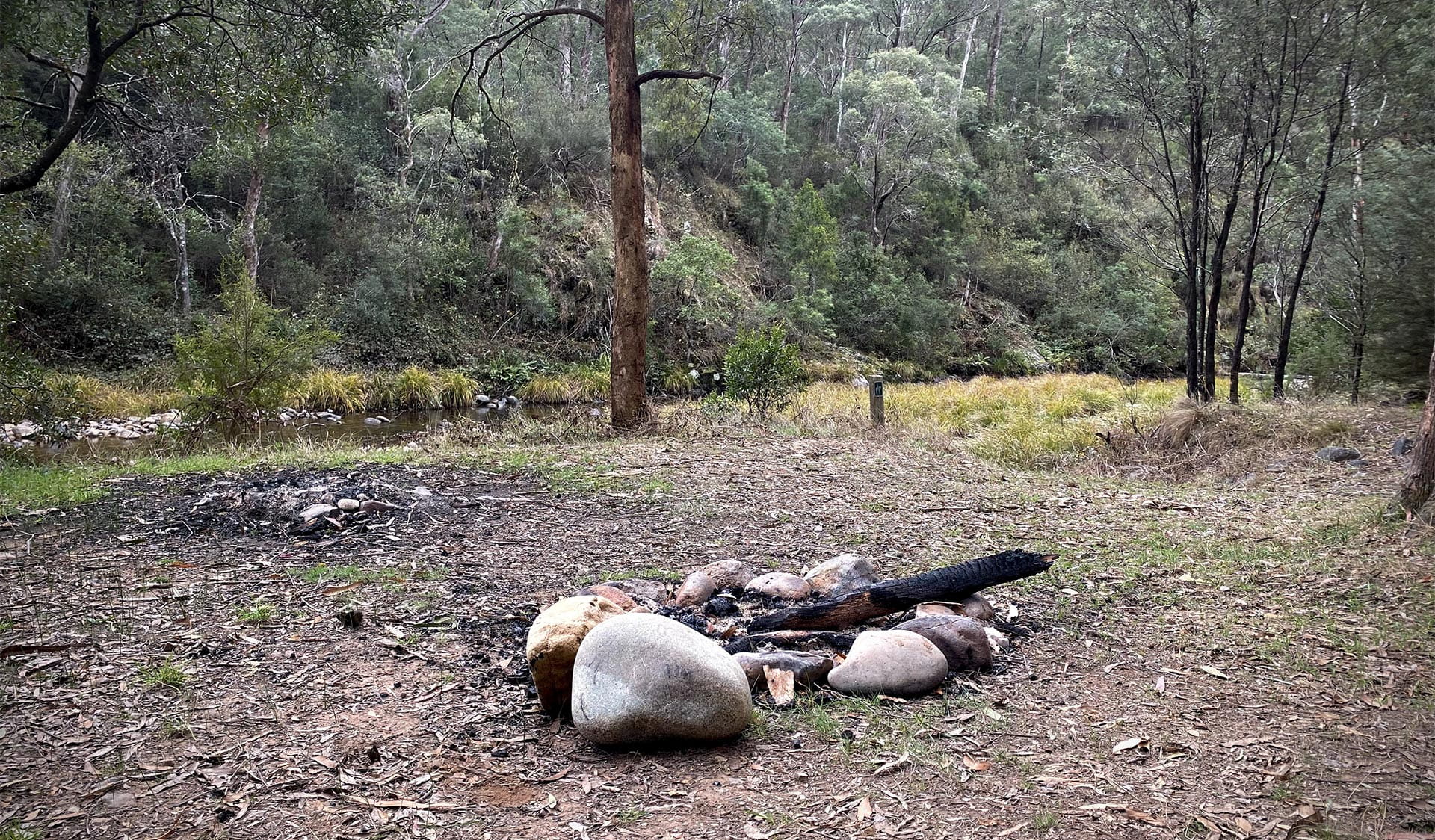 Unlit fire pit at a campground with trees in the background.
