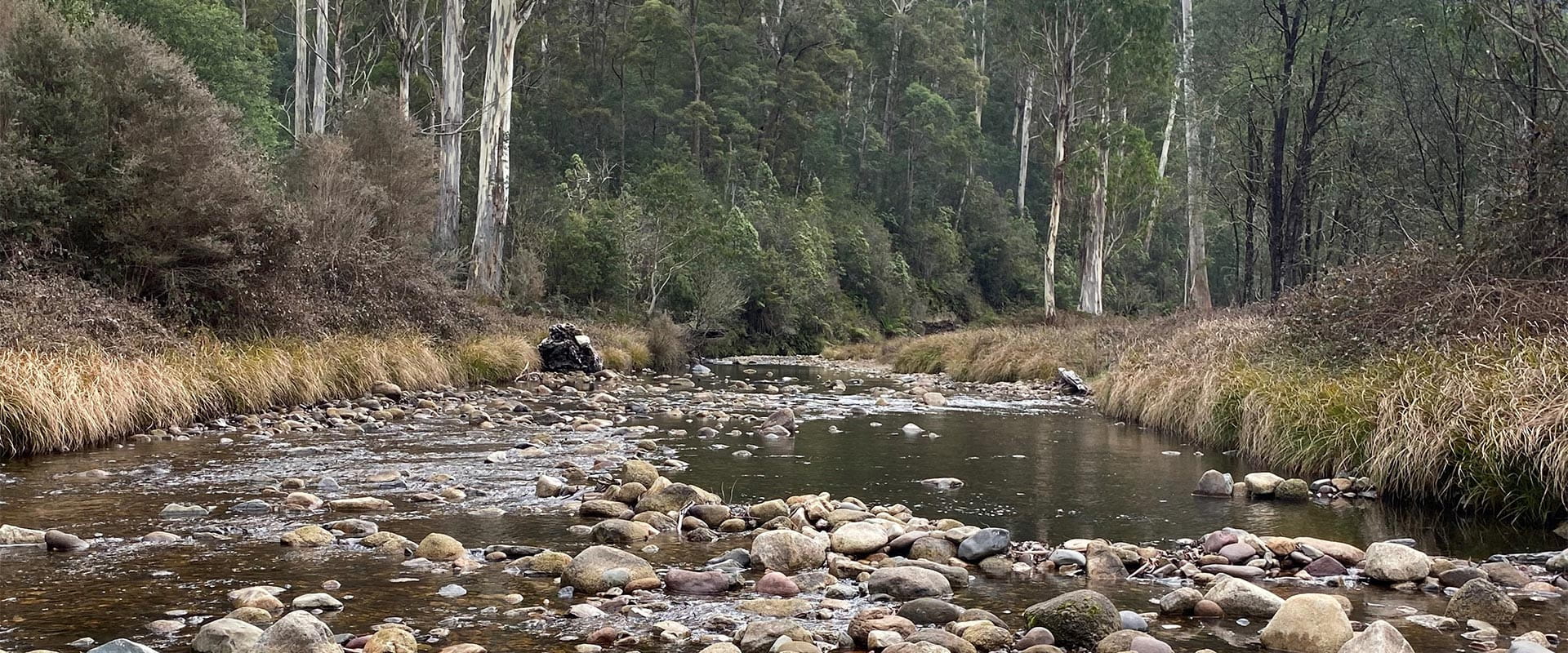 View of river next to camping area.