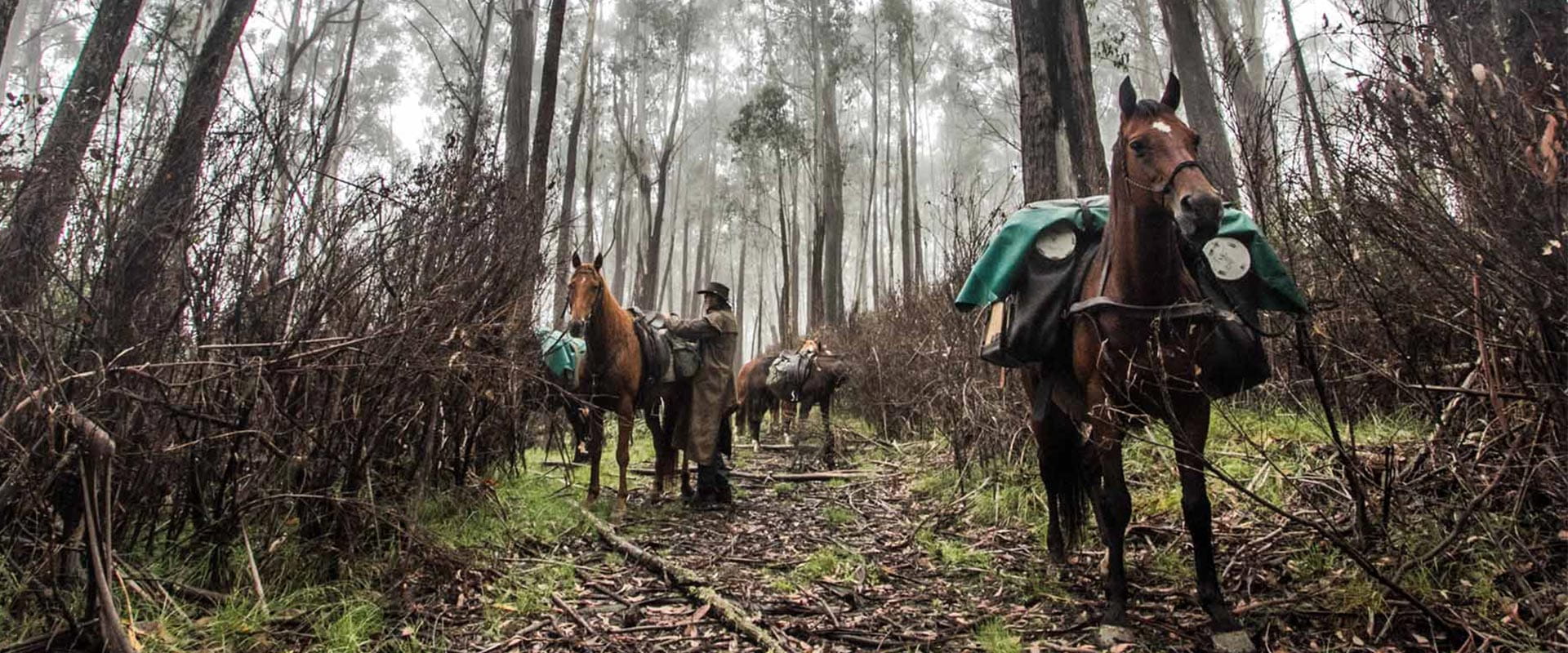 Three horse-riders saddle-up a pack horse before the day's riding.