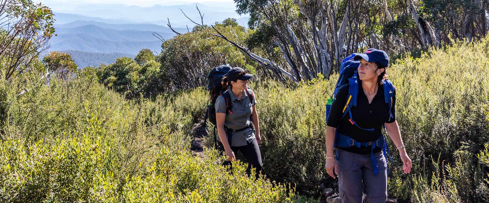 Two hikers walk through dense shrubbery with alpine views behind them as they ascend the mountain
