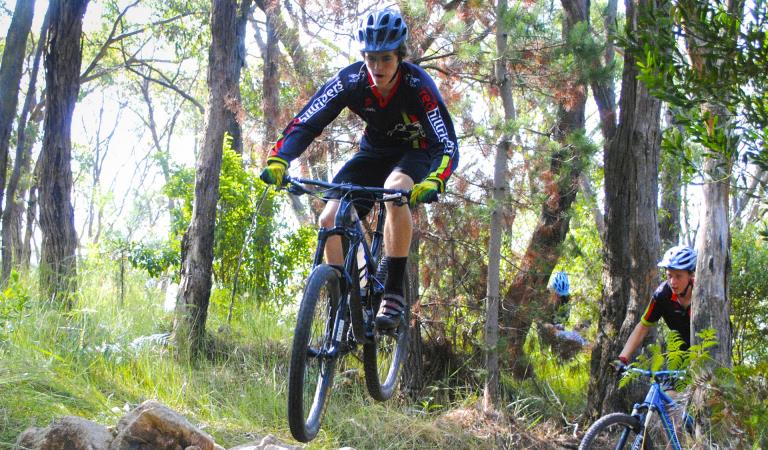 Mountain bike riders on their bikes in the park