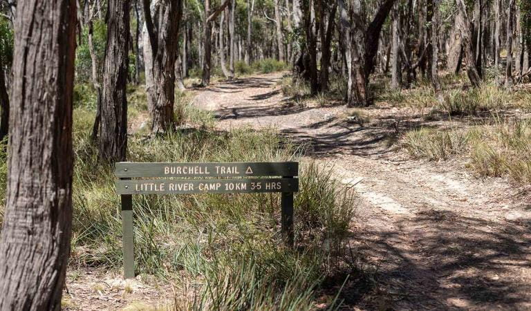 The Trailhead to the Burchell Trail at Brisbane Ranges National Park