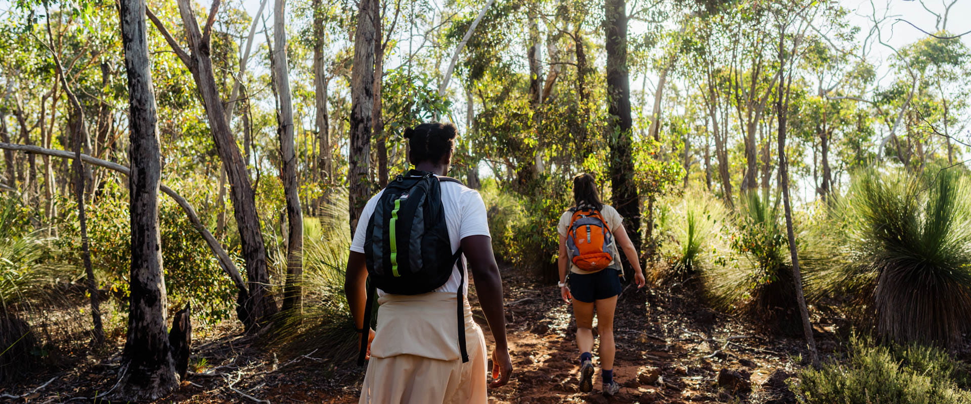 Two hikers walk on an incline through a lush green forest. We see them from behind. 