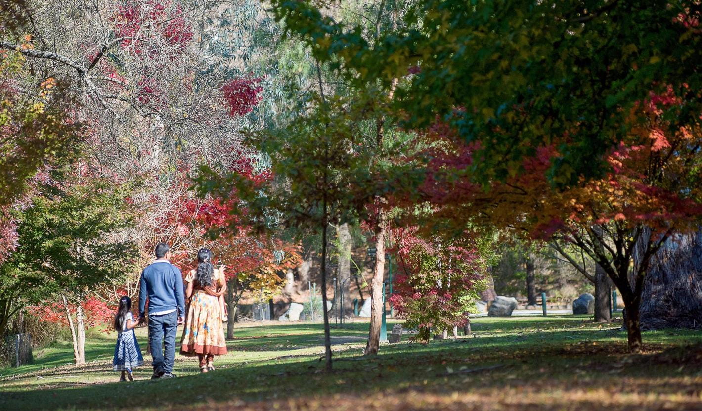 A family of three walk under autumn leaves at Buchan Caves Reserve.