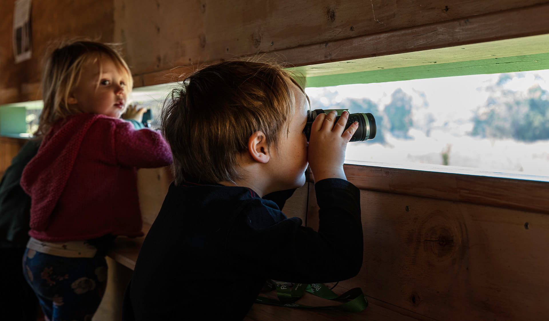 A child peers through a birdwatching hut with binoculars at Coolart Heritage Area.