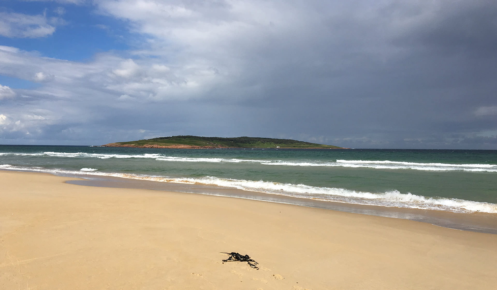 Gabo Island photographed from the mainland. 