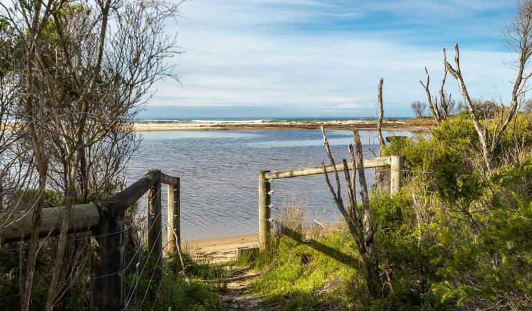 The path from a campsite down to the water at Meuller Inlet at Croajingolong National Park