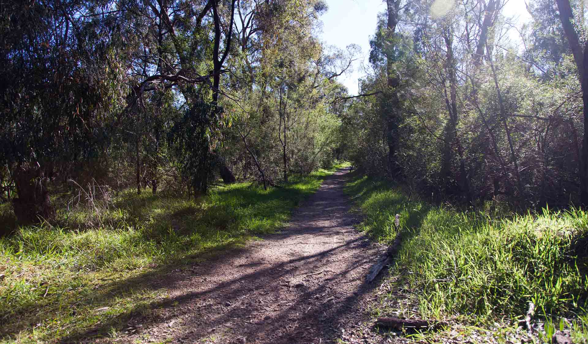 Woodlands Walk nature trail near the Brady Road Picnic Area at Dandenong Police Paddocks Reserve