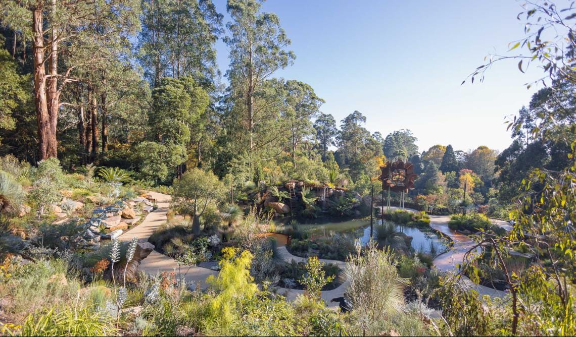 A landscaped garden with winding paths, a large pond and filled with mature native Australian plants.
